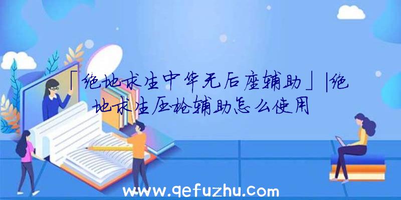 「绝地求生中华无后座辅助」|绝地求生压枪辅助怎么使用